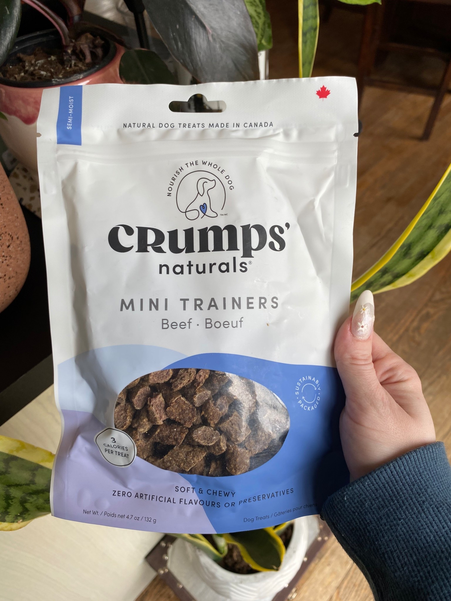 I cannot say enough good things about Crumps’ Naturals Semi Moist Beef Mini Trainers! From the moment I opened the bag, my dog’s nose was working overtime – and now she refuses to train without them. These treats are soft, chewy, and the perfect size for training sessions. I love that they’re made with North American beef and no added sugar or artificial ingredients. You can tell the quality is top-notch.

Each piece is only 3 calories, which means I can reward frequently without overfeeding. The semi-moist texture makes them easy to break apart if needed, and my dog never loses interest – they’re clearly packed with flavour. Plus, it’s comforting to know they’re made in Canada with clean ingredients.

Whether you’re training a puppy or just want a high-value treat for your adult dog, these mini trainers are a must-have. Absolutely 10/10 – will be buying again (and again)!
