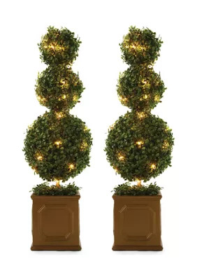 Biltmore® Set of 2 Pre-Lit Ball Topiary Tree | Belk
