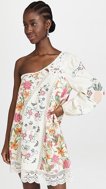 Toucans Garden One Shoulder Embroidered Dress | Shopbop