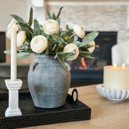 Coffee Table Faux Stem Styling 

faux stems  florals  spring home refresh vase  candles  how to style coffee table  neutral home styling  spring decor 

#LTKSeasonal #LTKhome #LTKstyletip