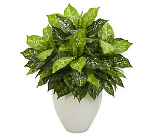 Dieffenbachia Artificial Plant in Planter by Ne arly Natural | QVC