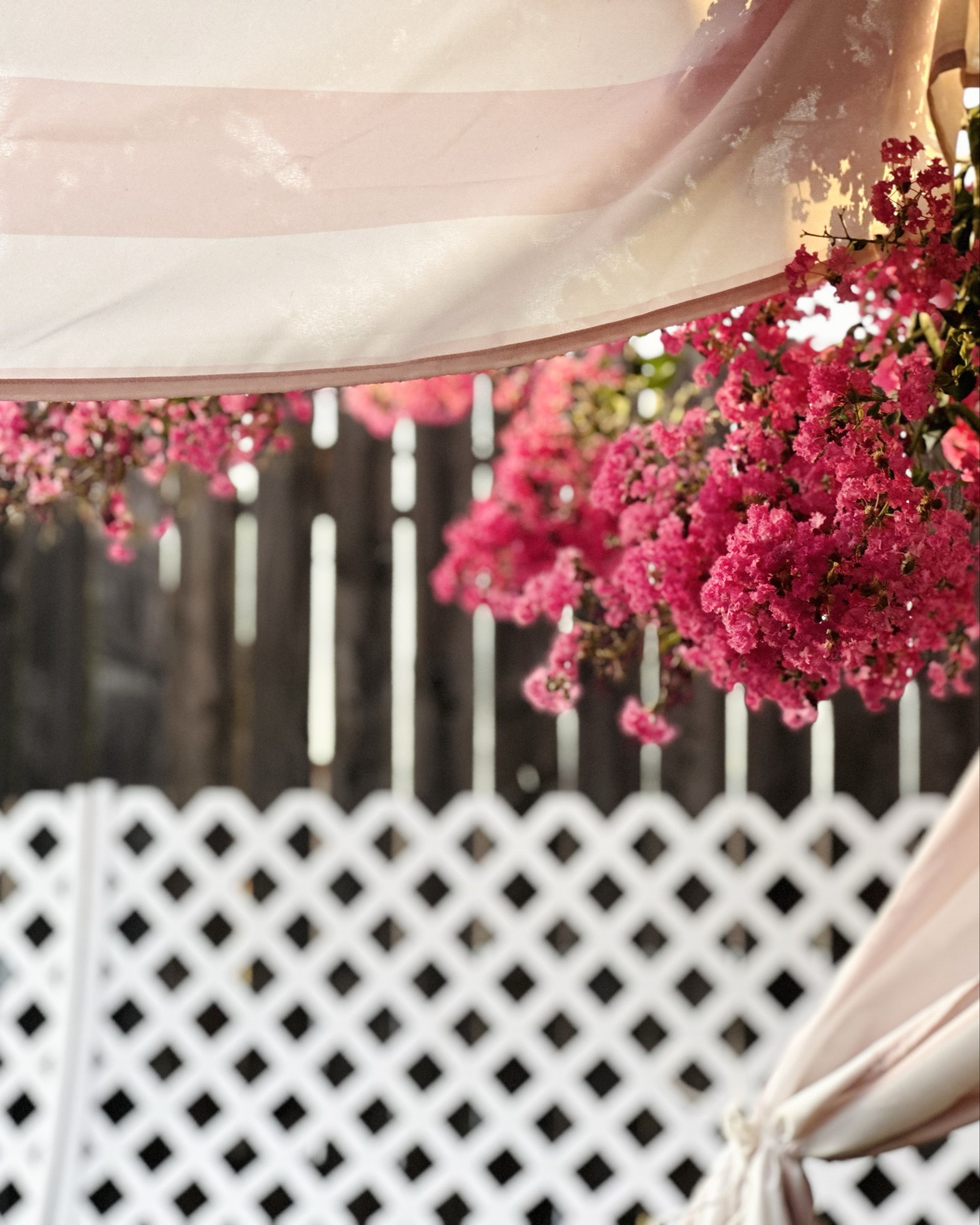 Good to comeback home and ga e a backyard BBQ  

#LTKHome #LTKSeasonal