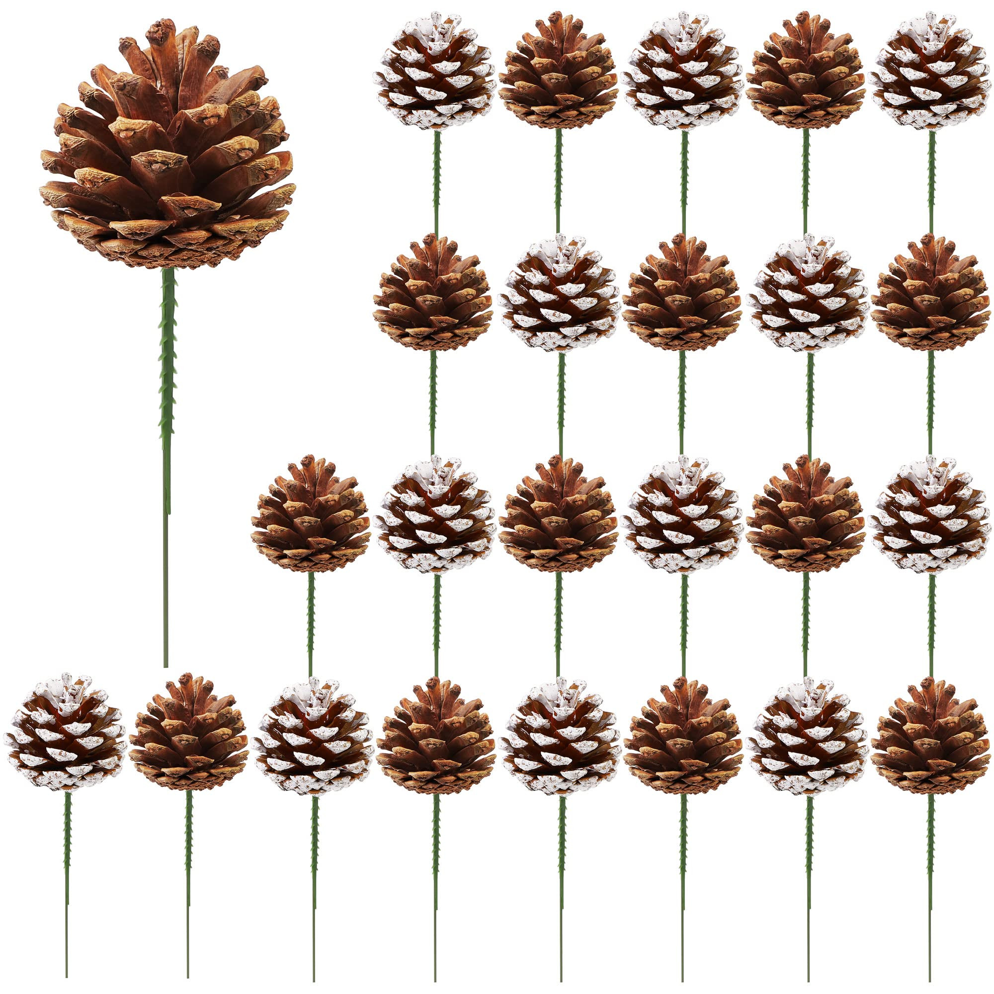 Fovths 24 Pieces Christmas Pine Cones Pick Pinecones Ornament Christmas Tree Decoration 2.4-3.1 I... | Amazon (US)