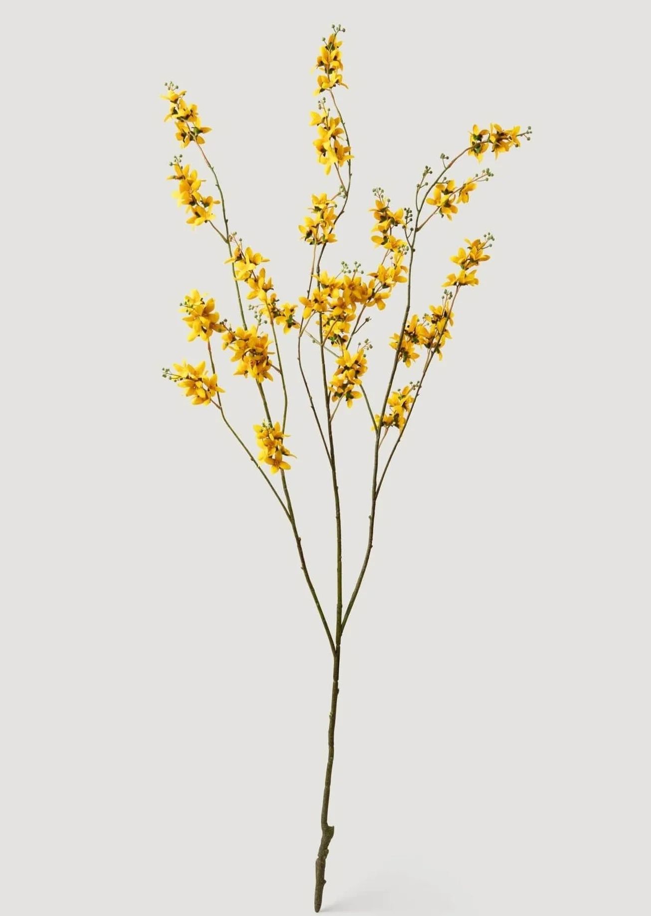 Faux Forsythia Branch in Yellow - 53" | Afloral