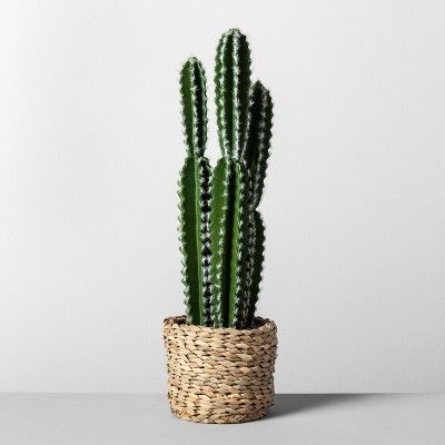 23" x 6.3" Artificial Cactus In Basket Green/Natural - Opalhouse™ | Target