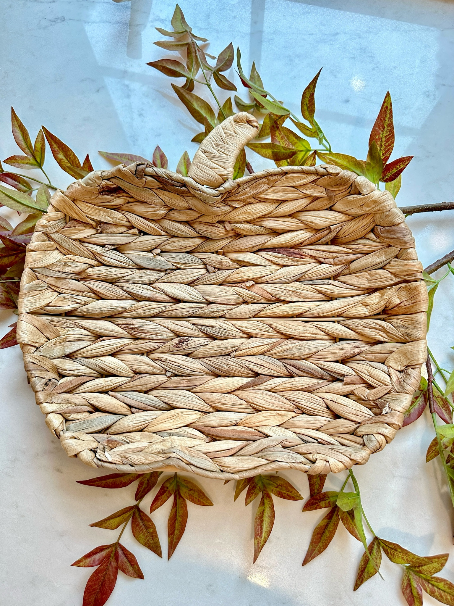 Loving this adorable, sturdy pumpkin shaped woven tray for fall 🍂



#LTKFindsUnder50 #LTKSeasonal #LTKHome