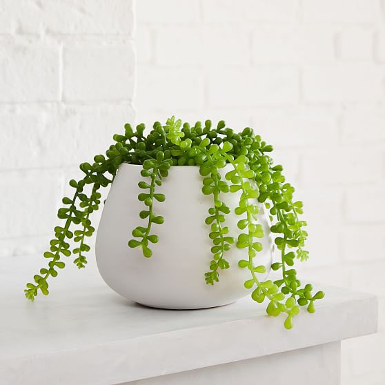 Faux Potted Trailing Succulent w/ Pure White Ceramic Planter | West Elm (US)