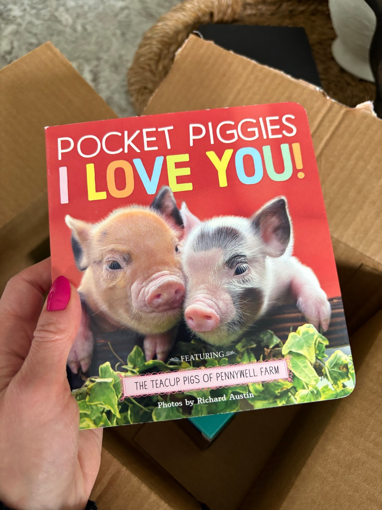 The book my granddaughter adores💕
After a successful library run, I had to find a copy for her to keep. It’s the perfect addition to any little one’s library.

#kidsbook #bookcollection #toddlerbook #firstbook #kidsbookcollection 

#LTKkids #LTKfamily #LTKbaby