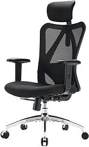 SIHOO M18 Ergonomic Office Chair for Big and Tall People Adjustable Headrest with 2D Armrest Lumb... | Amazon (US)