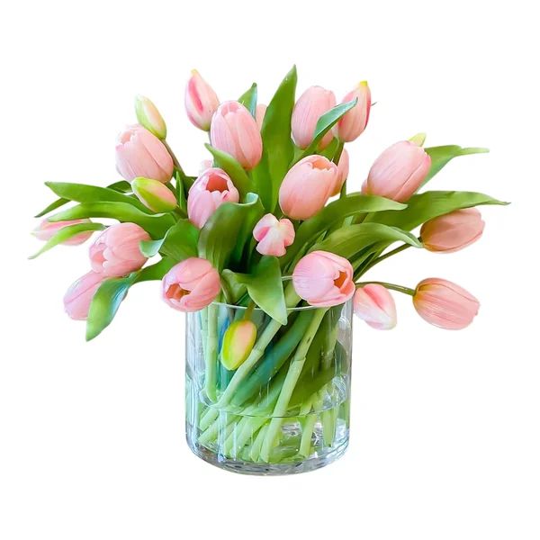 Tulips in Vase | Wayfair North America