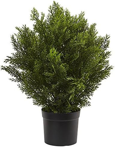 Nearly Natural 6880 2’ Cedar Artificial Bush (Indoor/Outdoor), Green | Amazon (US)