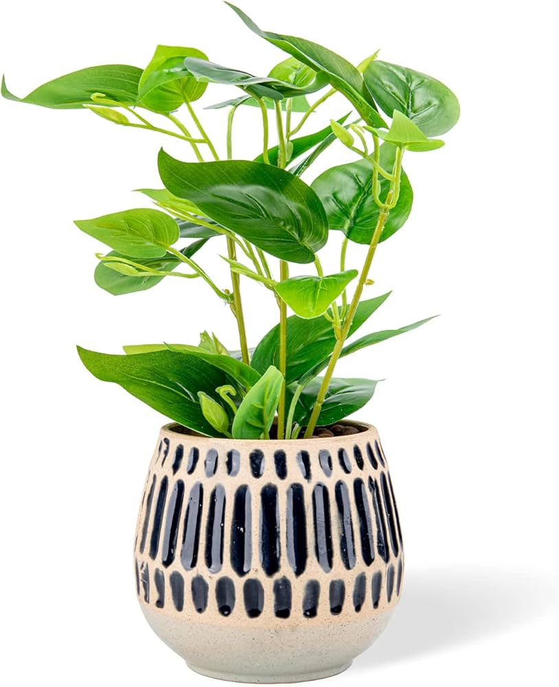 Chonsun Ceramic Planter 6 Inch Plant Pots Indoor Oudoor Planter Flower Pots Succulent Plant Pots ... | Amazon (US)