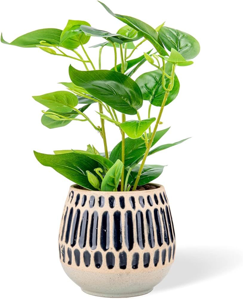 Chonsun Ceramic Planter 6 Inch Plant Pots Indoor Oudoor Planter Flower Pots Succulent Plant Pots ... | Amazon (US)