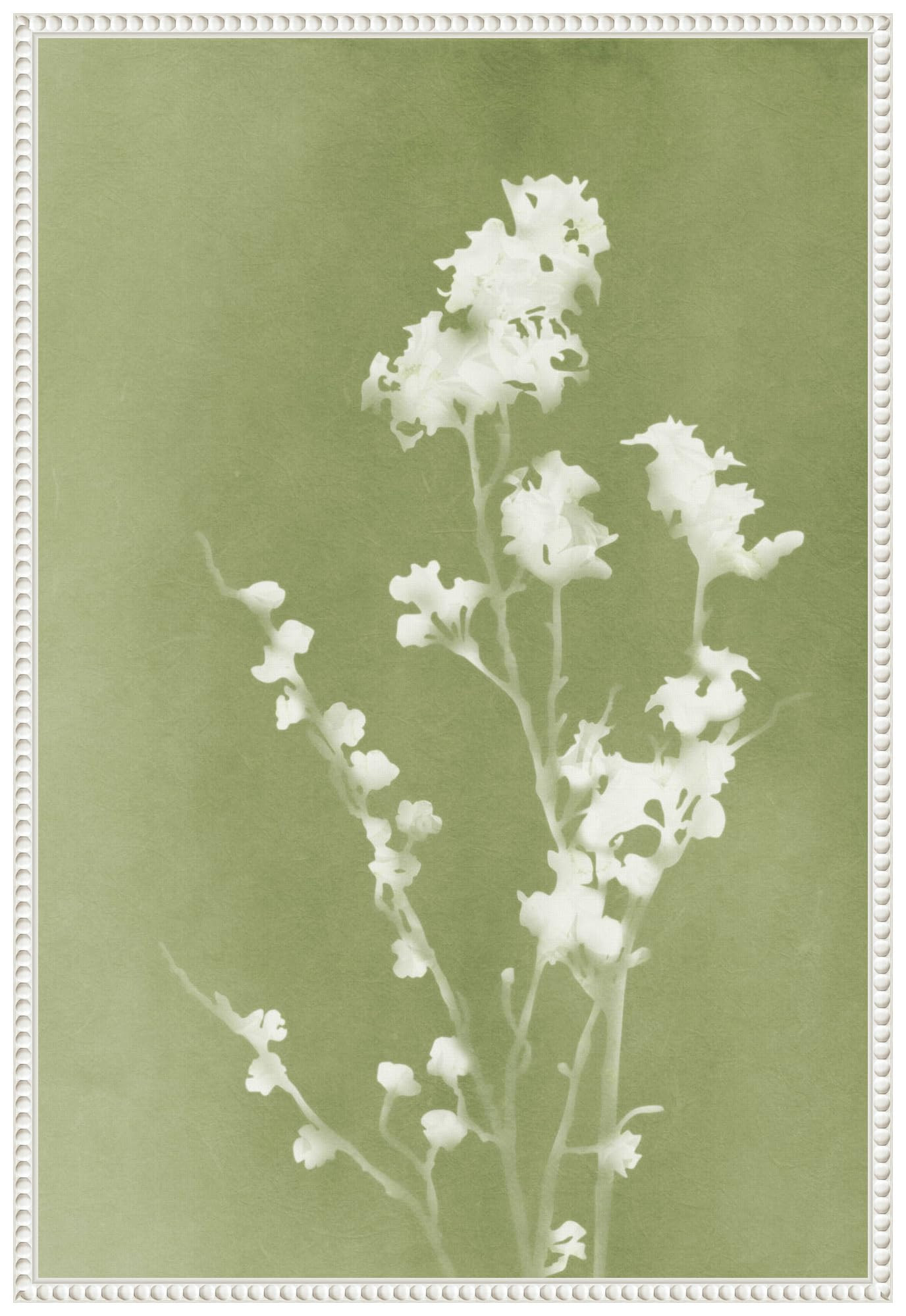 Amanti Art Framed Canvas Wall Art 33x23 Monograph Green Flowers by Amini54, Framed Wall Art Canva... | Amazon (US)