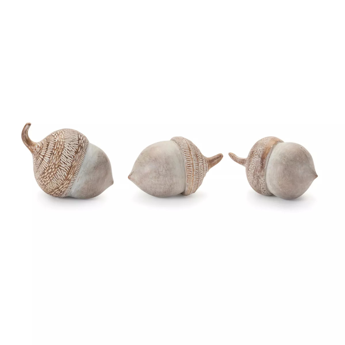 White Washed Etched Acorn (Set of 6) | Target