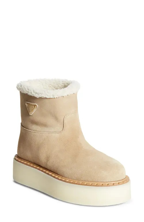 Prada Evolve Genuine Shearling Bootie in Ecru at Nordstrom, Size 9.5Us | Nordstrom