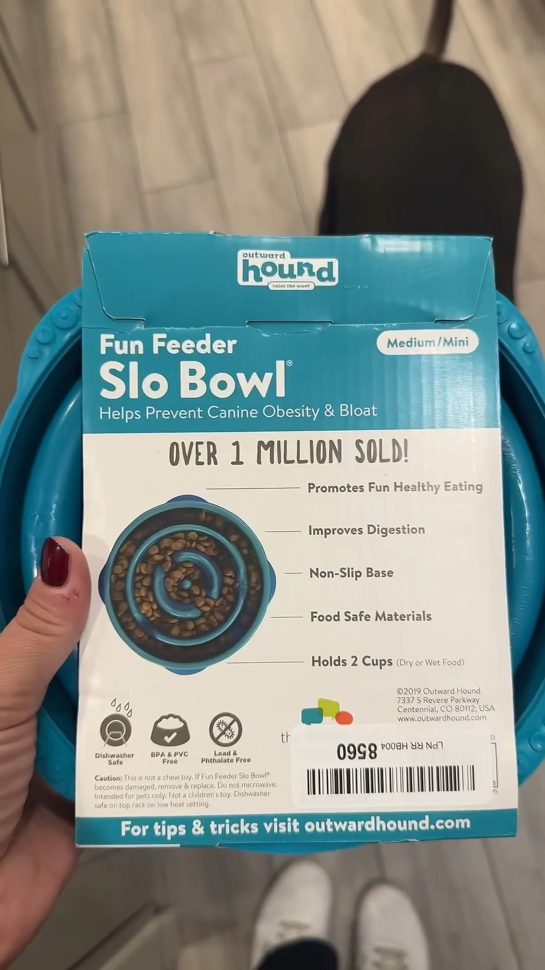 Great alternative for my dog to eat slow