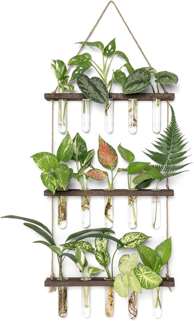 Mkono Plant Propagation Tubes, 3 Tiered Wall Hanging Terrarium with Wooden Stand Mini Test Tube F... | Amazon (US)