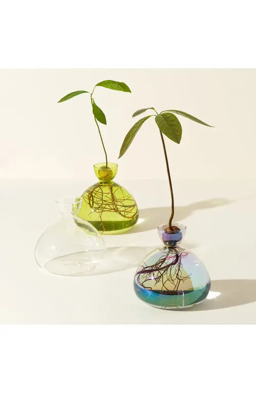 Uncommon Goods Avocado Vase by ilex Studio in Grass Green at Nordstrom | Nordstrom