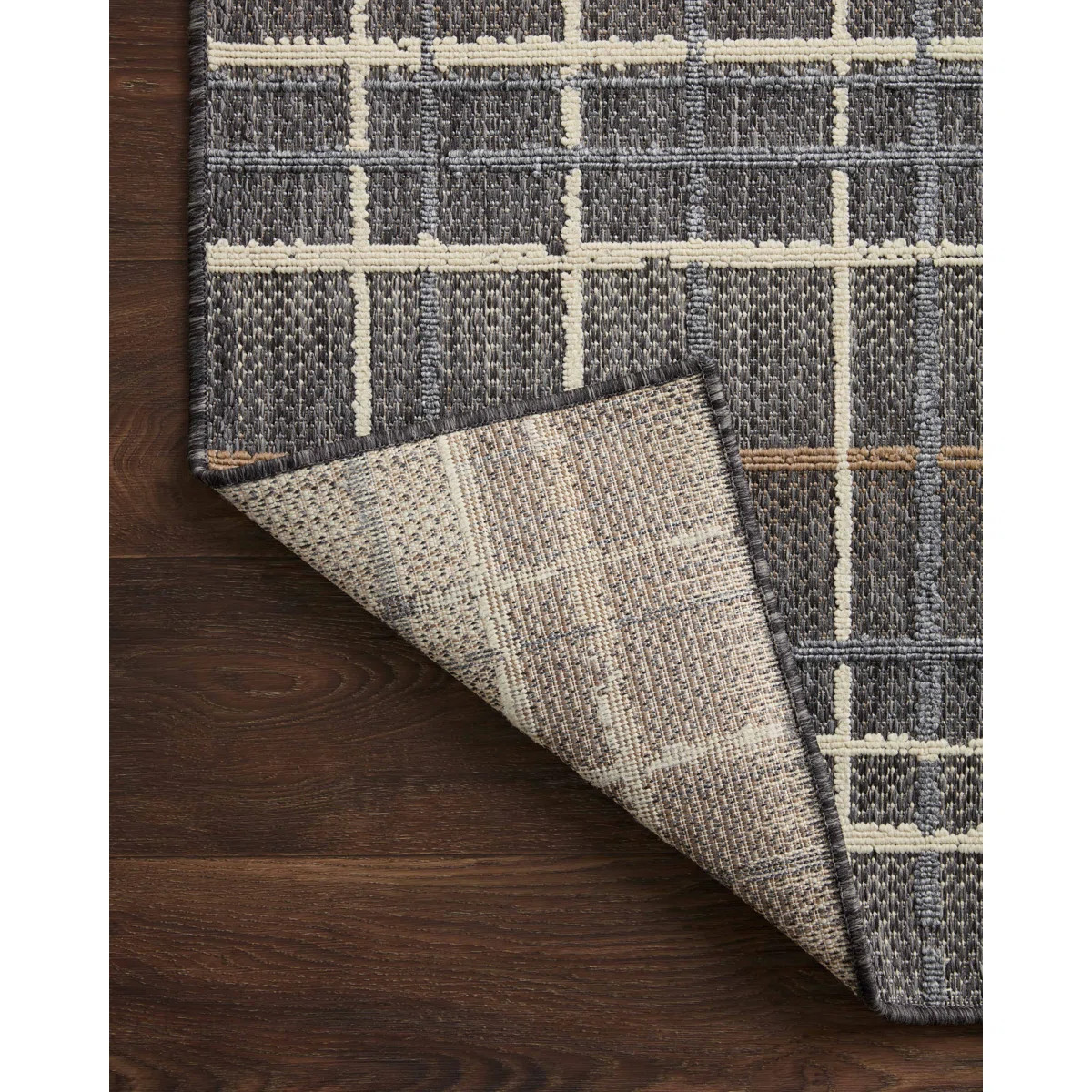 Pesina II Charcoal / Multi Indoor/Outdoor Area Rug | Wayfair North America