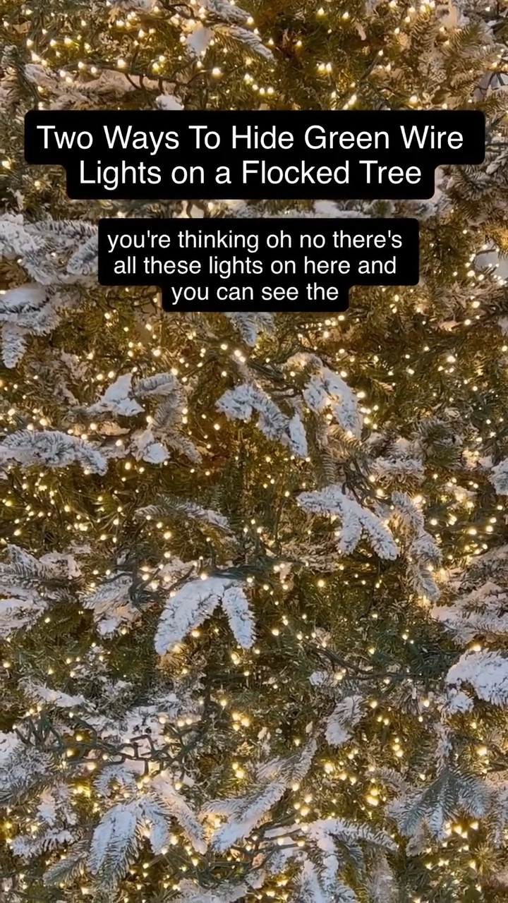💚 **Do I use green wire lights on my flocked trees?** Yep!

Here’s why 👉 My flocked trees are still _green underneath all that snow_, and the green wire blends in beautifully the deeper you go. Before decorating, you might see a little wire on the tips — but don’t worry, I’ve got you covered (literally!).

✨ Two easy tricks:
1️⃣ **Tuck** the wire under the branch tip.
2️⃣ **Cover** it with a pick — even a small piece of flocked greenery does the job!

Once the ornaments and ribbon go on, that wire disappears completely.  I also use clear wire lights,but it’s not necessary. 🌲

\#HolidayHangups #ChristmasTree #FlockedTree #ClusterLights #Christmas #ChristmasDecor #ChristmasLighting #Christmaslights
