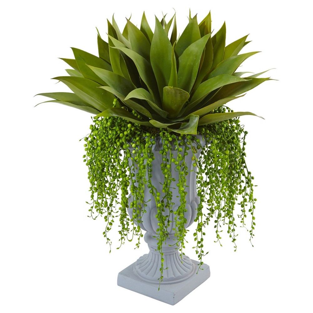 Agave and Senecio Succulent Arrangement Green - Nearly Natural | Target
