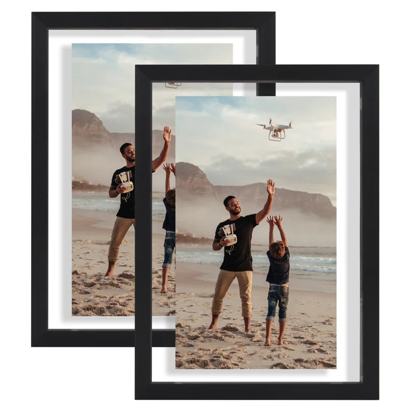 Rickesha Floating Aluminum & Plexiglass Picture Frame - Black  (Set of 2) | Wayfair North America