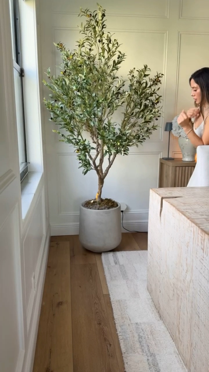 Get the Organic Modern Look 🛋️ (My Living Room Links)

#LTKhome #livingroom #livingroomdecor #amazonfinds #organicmodern #amazonhome #cozyhome #ltkit

#LTKHoliday #LTKSaleAlert #LTKHome