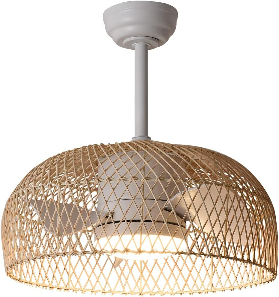 Eamonex 18W LED 20 Inches Bamboo Rattan Wicker Smart Caged Dimmable Ceiling Fan With Light,Woven ... | Amazon (US)