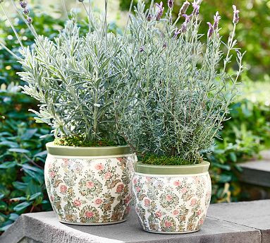 Kravet Rosehill Cachepots | Pottery Barn (US)