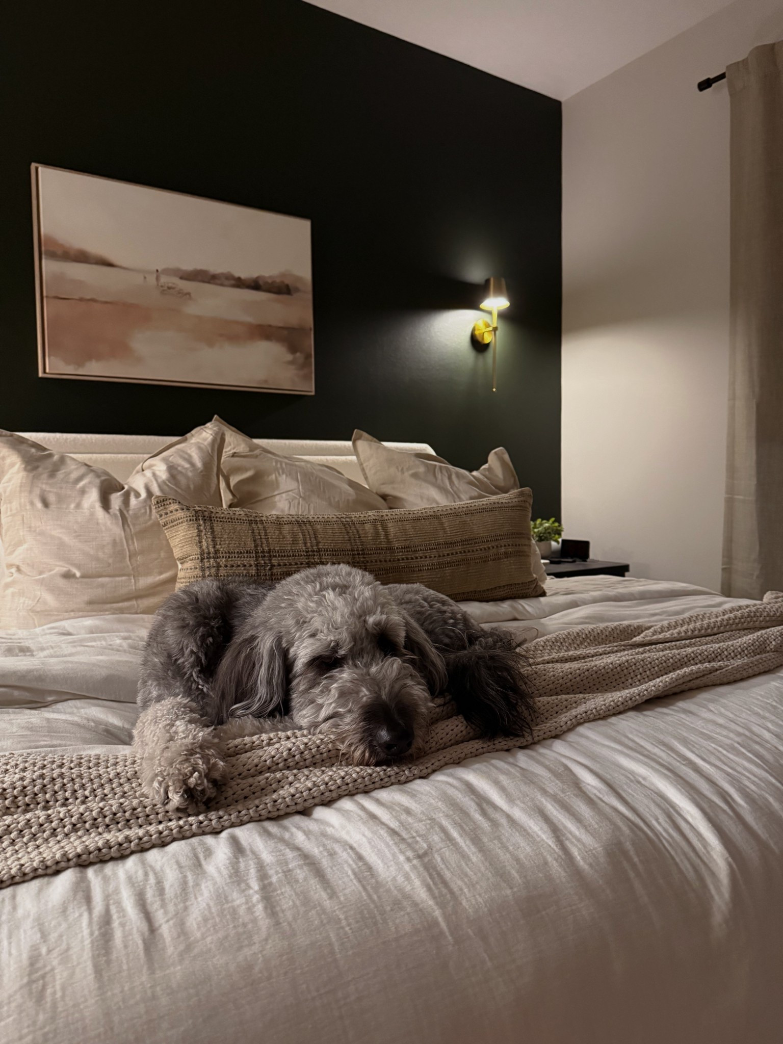 Moody, cozy master bedroom! 🕯️

#LTKHome #LTKFindsUnder100 #LTKmomlife