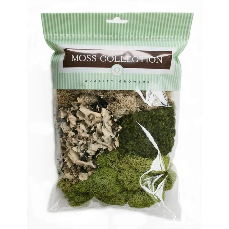 Quality Growers The Moss Collection Variety Pack Moss (Original, Small) | Walmart (US)
