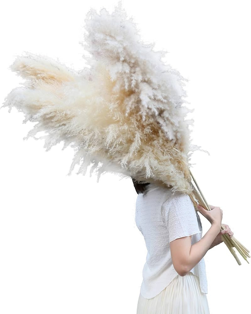 AnziMoss® 50" Tall Pampas Grass with 10 Stems, Pure Natural Dried Color, Large and Fluffy Pompas... | Amazon (US)