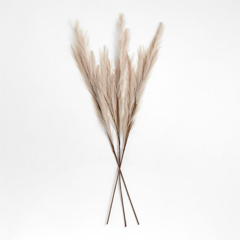 Artificial/Faux Taupe Pampas Grass Decor 45" + Reviews | Crate & Barrel | Crate & Barrel