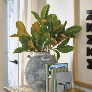 Magnolia Stem, Set of  Three | Grandin Road