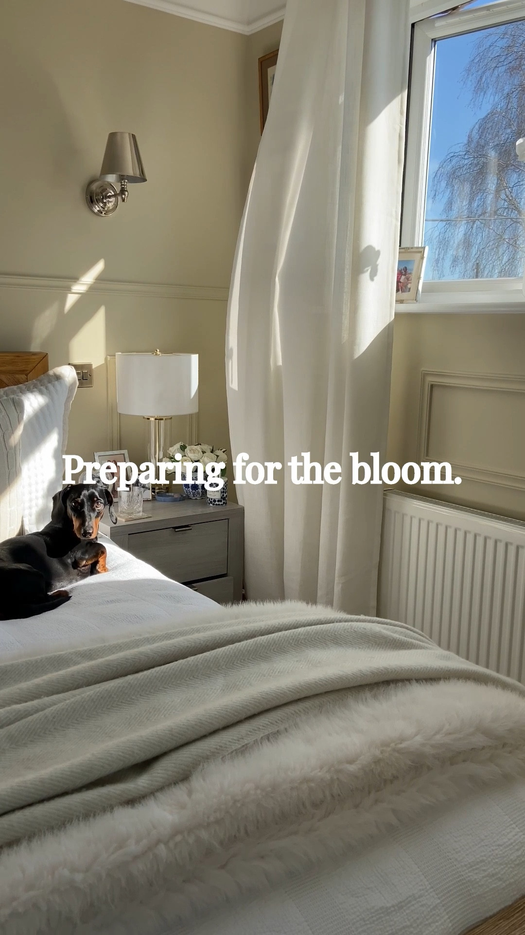 The season is coming. And so are we. 🤍✨ 

#LTKhome #LTKuk #LTKspring