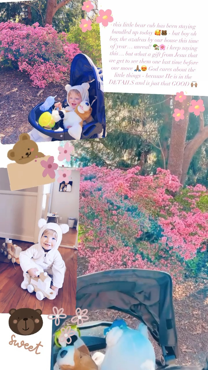 this little bear cub has been staying bundled up today 🥰🐻 - but boy oh boy, the azaleas by our house this time of year… unreal! 🏡🌸 i keep saying this… but what a gift from Jesus that we get to see them one last time before our move 🙏🏽😍 God cares about the little things - because He is in the DETAILS and is just that GOOD 🙌🏽

#LTKbaby #LTKSeasonal #LTKfamily