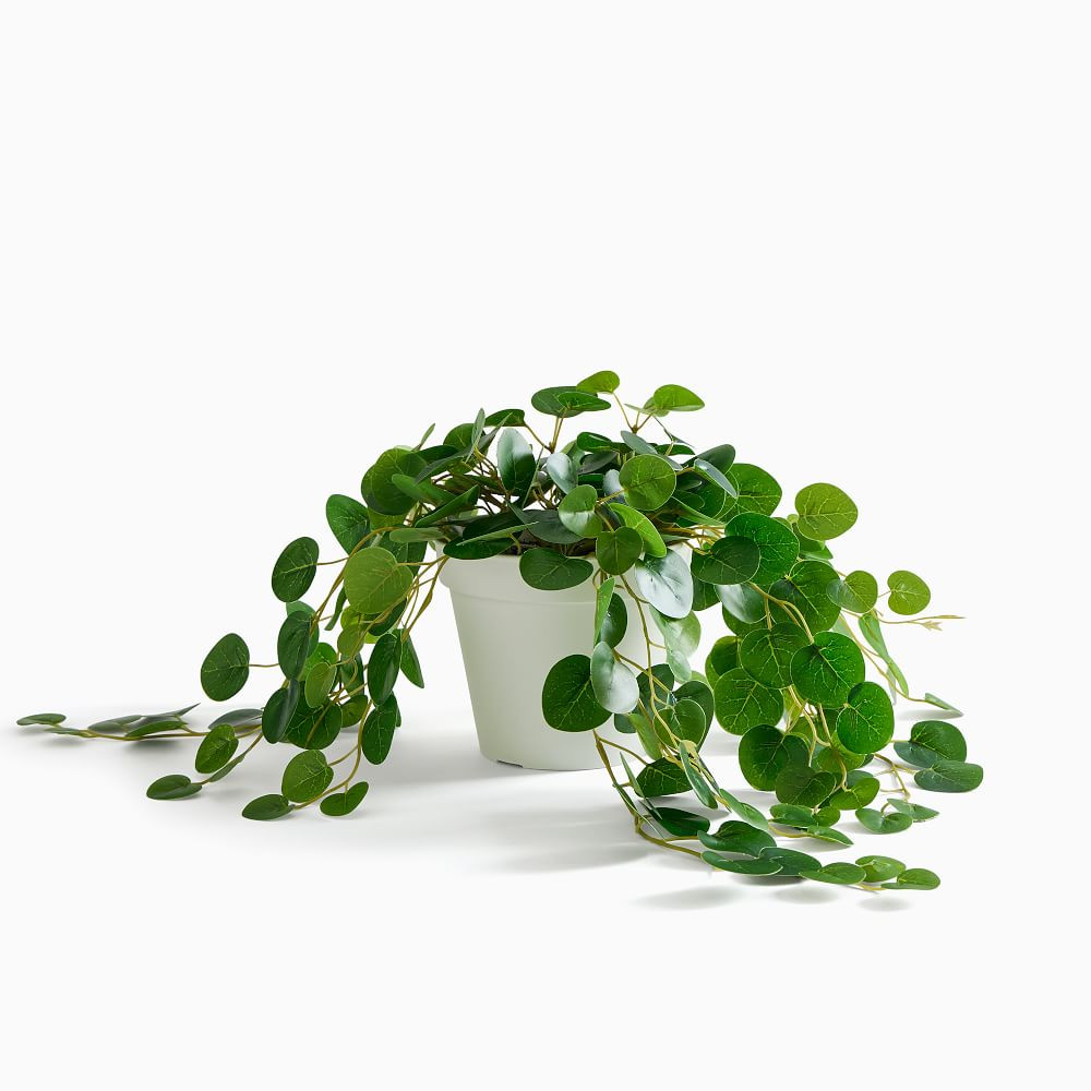 Faux Potted Trailing Leaf Plant | West Elm (US)