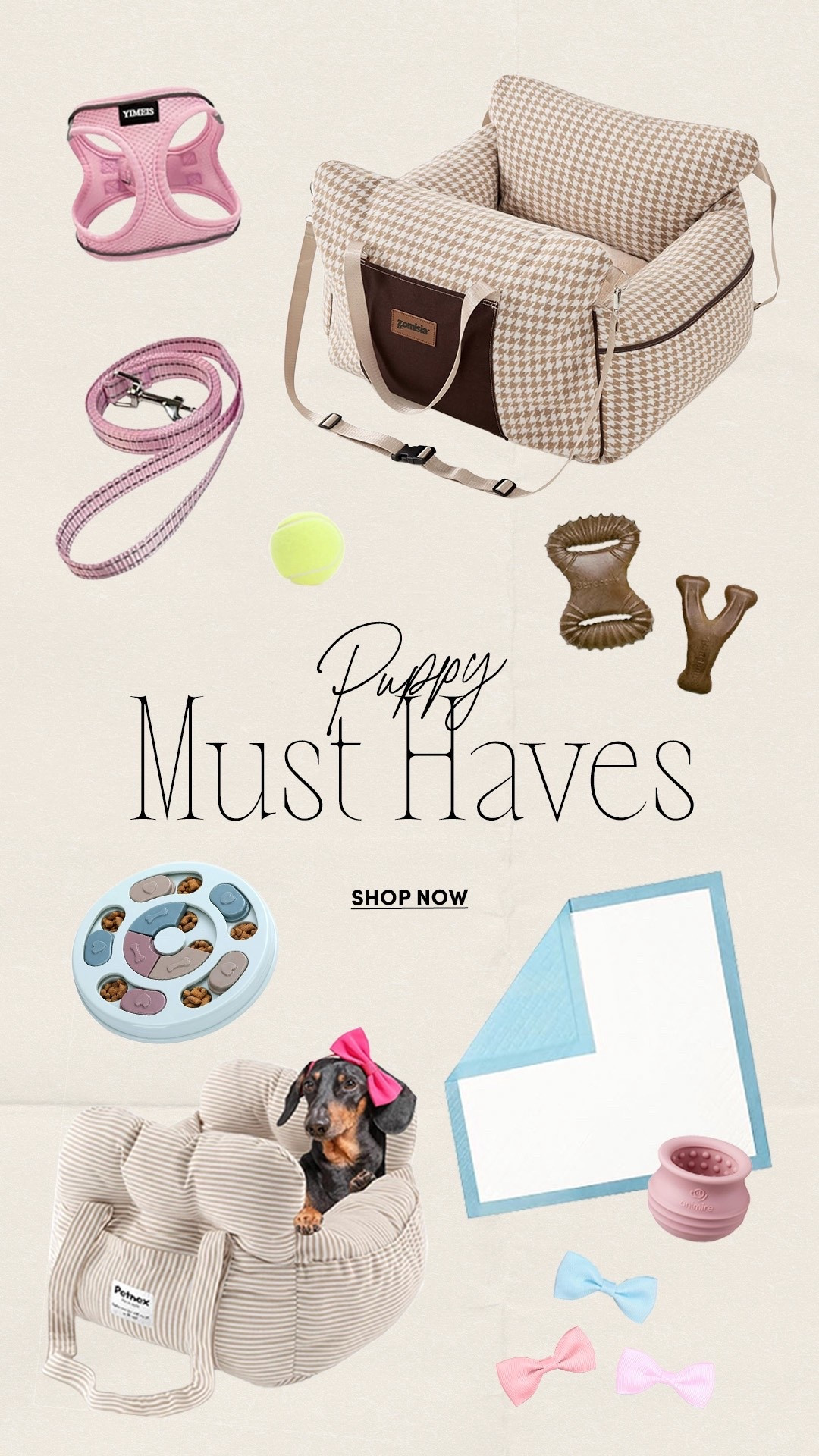 New puppy in the house 🐶 and these are the puppy must-haves I swear by. If you’re bringing home a puppy soon, save this for your new puppy essentials checklist.

Puppy must haves, new puppy essentials, puppy tips, pet must haves 
