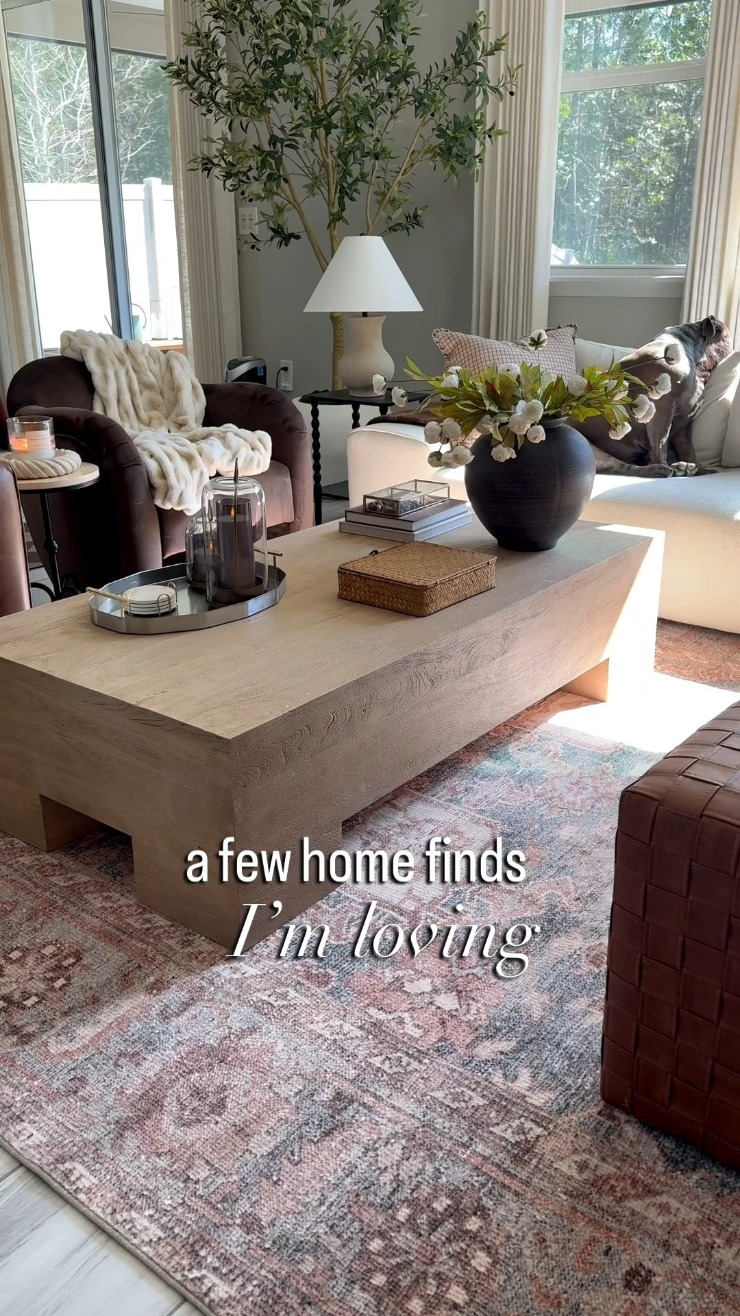 Home finds I’m loving lately… so many beautiful finds back in stock 😍 

Amazon home finds, Loloi rugs, living room inspo, Amazon home decor, bathroom, entryway, bedroom, designer inspired home finds 

#LTKSeasonal #LTKHome