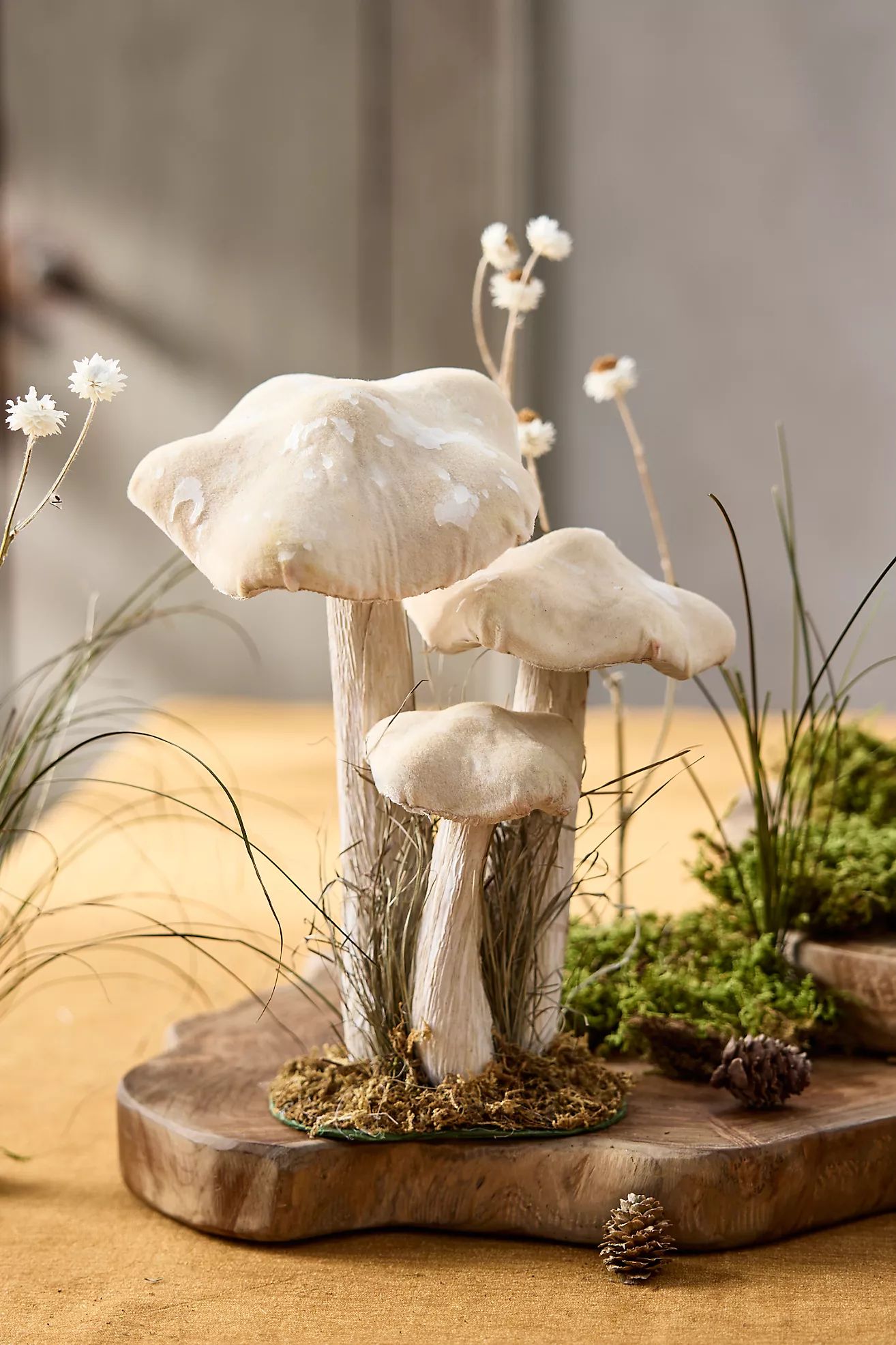 Velvet Mushrooms, Set of 3 | Anthropologie (US)