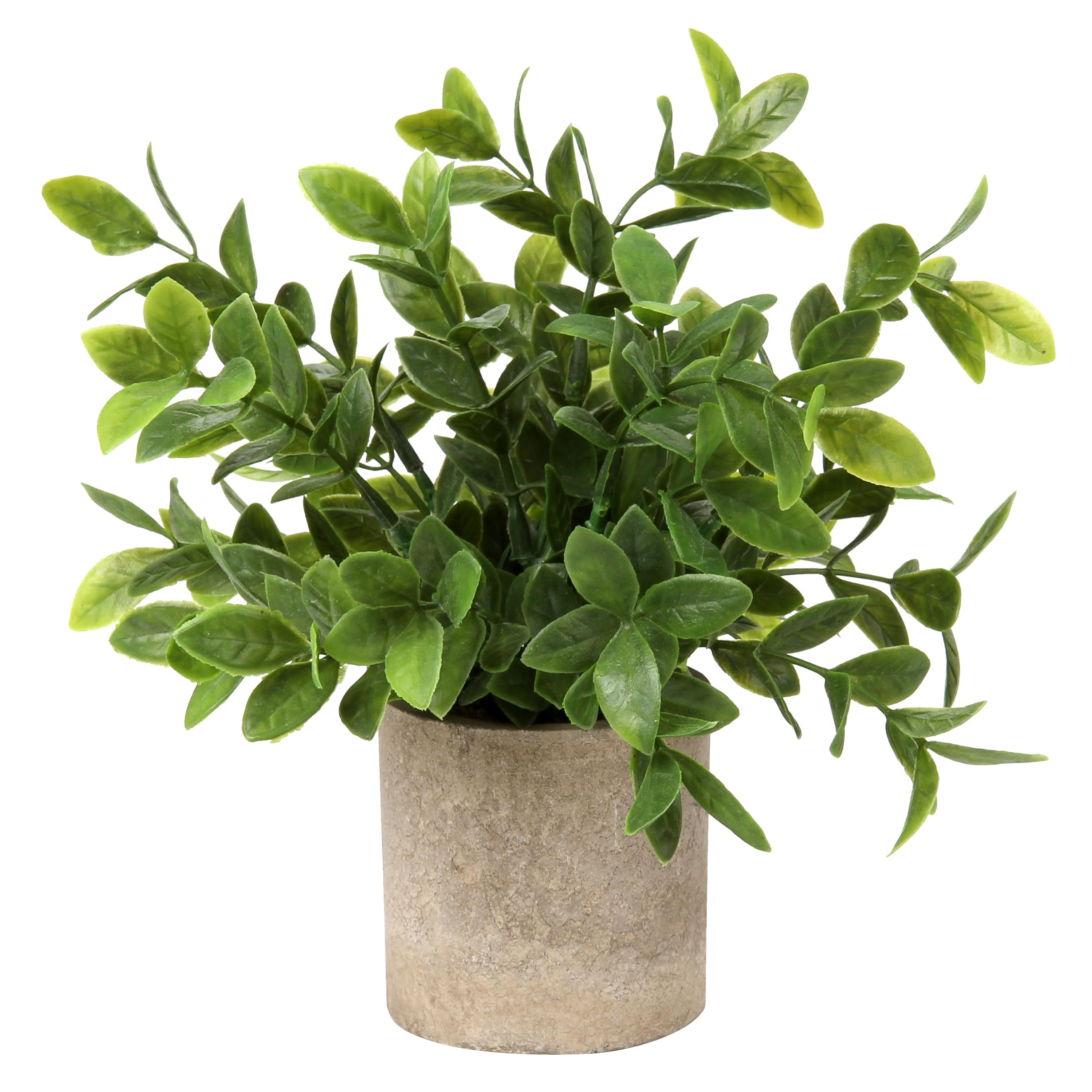Briful Small Fake Plants Artificial Mini Potted Silk Plants Faux Boxwood Decorative Plants for Ho... | Amazon (US)