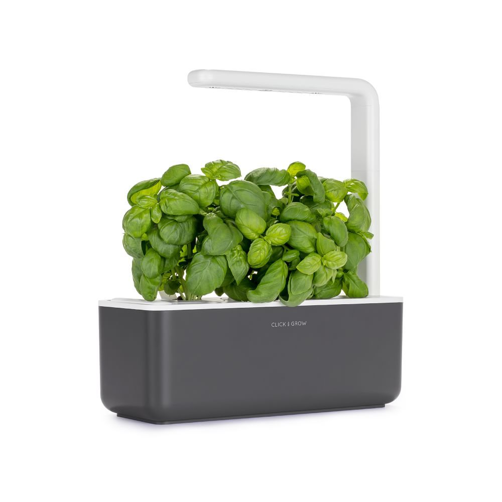 The Smart Garden LED Grow Set | West Elm (US)