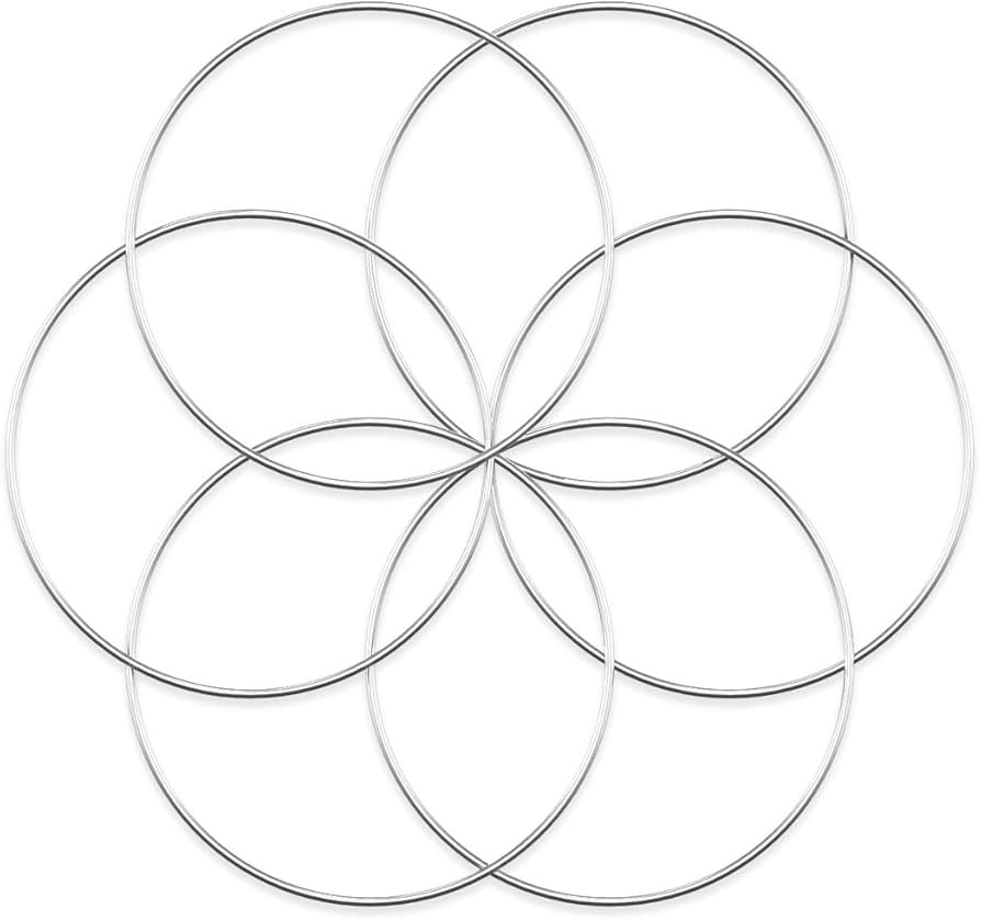 Worown 6 Pcs 10 Inch Floral Wreath Hoops, Silver Metal Rings for Making Wedding Wreath Decor and ... | Amazon (US)