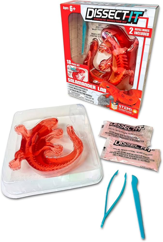Dissect-It Kit for Kids, Simulated Synthetic Lab Dissection Toy, Salamander STEM Toys for Animal ... | Amazon (US)