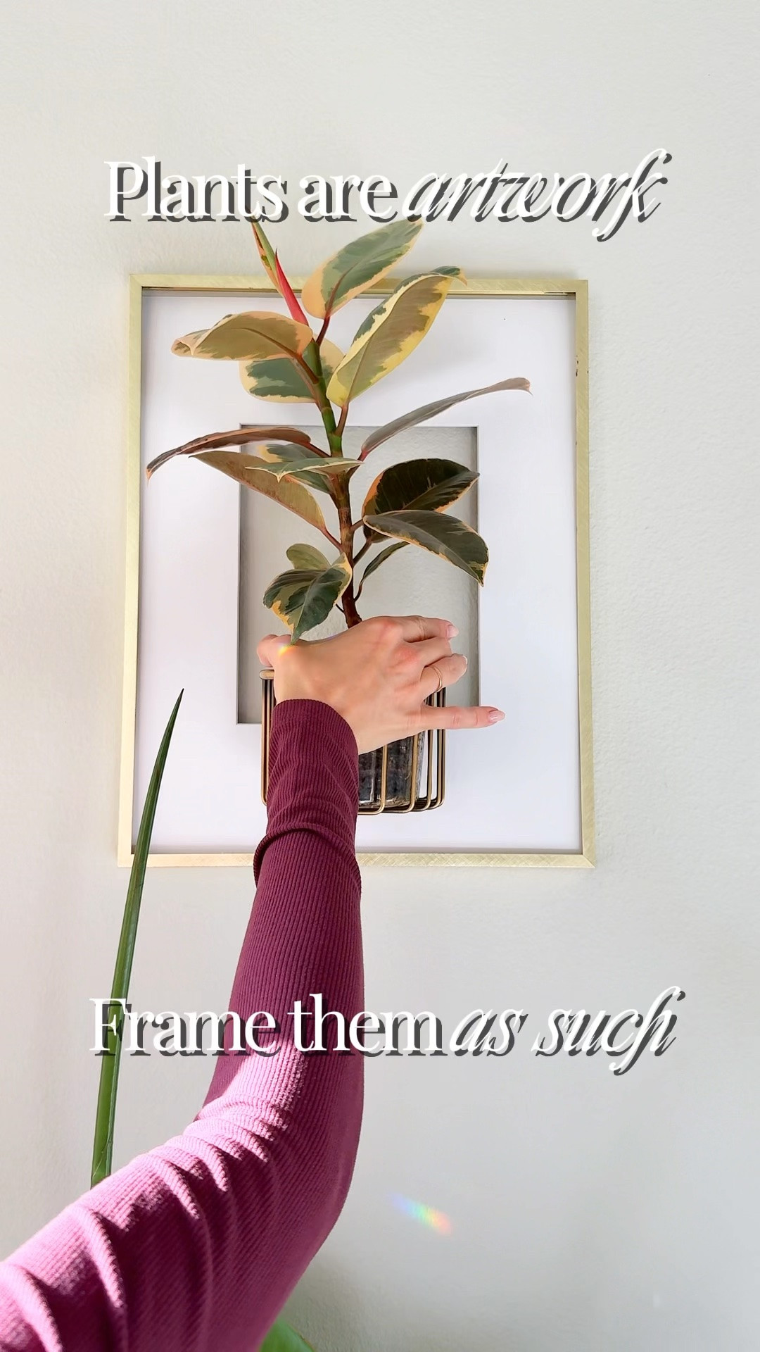 Comment “DIY” and I’ll send you the links! 🌿

This was SO easy to put together. I used an old picture frame, removed the glass, and turned it into the prettiest little display for tiny potted plants, propagations, and fresh-cut flowers.

Such a simple way to give an old frame a new life while putting your plants and flowers on display.

Would you try this in your home?

frame plants | plant display ideas | plant decor | propagation display | fresh flower display | DIY plant decor | botanical decor | indoor plant styling

#LTKmomlife #LTKHome #LTKdayinmylife