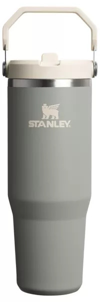 Stanley 30 oz. IceFlow 2.0 Flip Straw Tumbler | DICK'S Sporting Goods
