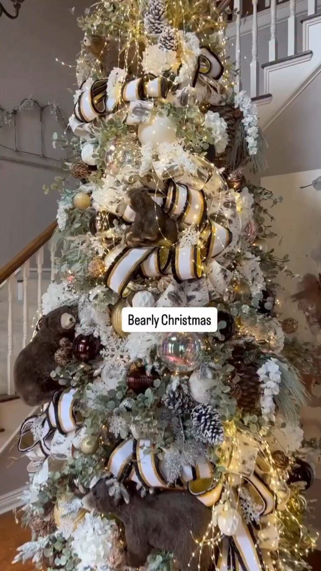 Need a little Christmas decorating inspiration?

Here are 11 Christmas tree designs I’ve created, each one with a unique color scheme, ribbon combination, and ornament style to help you get inspired for your own home this holiday season. 🎄

These Christmas designs come fast in the video, but don’t worry, I can send you a link with all the designs so you can take a closer look (and even shop each one!).

Whether you’re looking for Christmas tree ideas, designer ribbon combinations, or just love seeing how to decorate for Christmas, you’ll find plenty of inspiration here. ❤️

Comment “Designs” and I’ll send you the links!

#christmasdecorating #christmasdesigns #christmastreeideas #holidayhangups #christmasdecor #holidaydecor #christmasinspiration #christmasribbon #christmasornaments #howtodecorateforchristmas #christmaslights #holidayhome #christmas2025 #holidaystyle #christmastrend