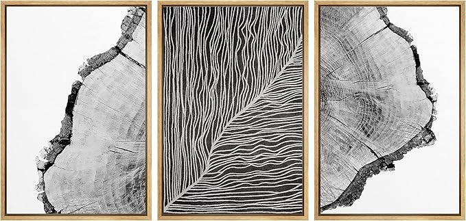 SIGNWIN Framed Canvas Print Wall Art Wood Rings & Detailed Plant Texture Floral Plants Illustrati... | Amazon (US)