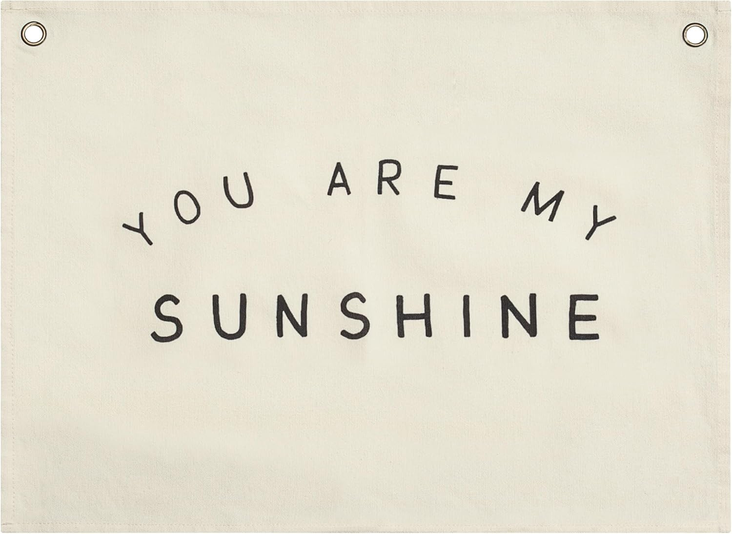 Lyla & Sage Play Co Children's Canvas Banner - Premium Playroom, Bedroom and Nursery Wall Art Dec... | Amazon (US)